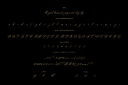 Renddonika - Modern Calligraphy, a Script Font by VUNIRA (Thumbnail 2 of 6)
