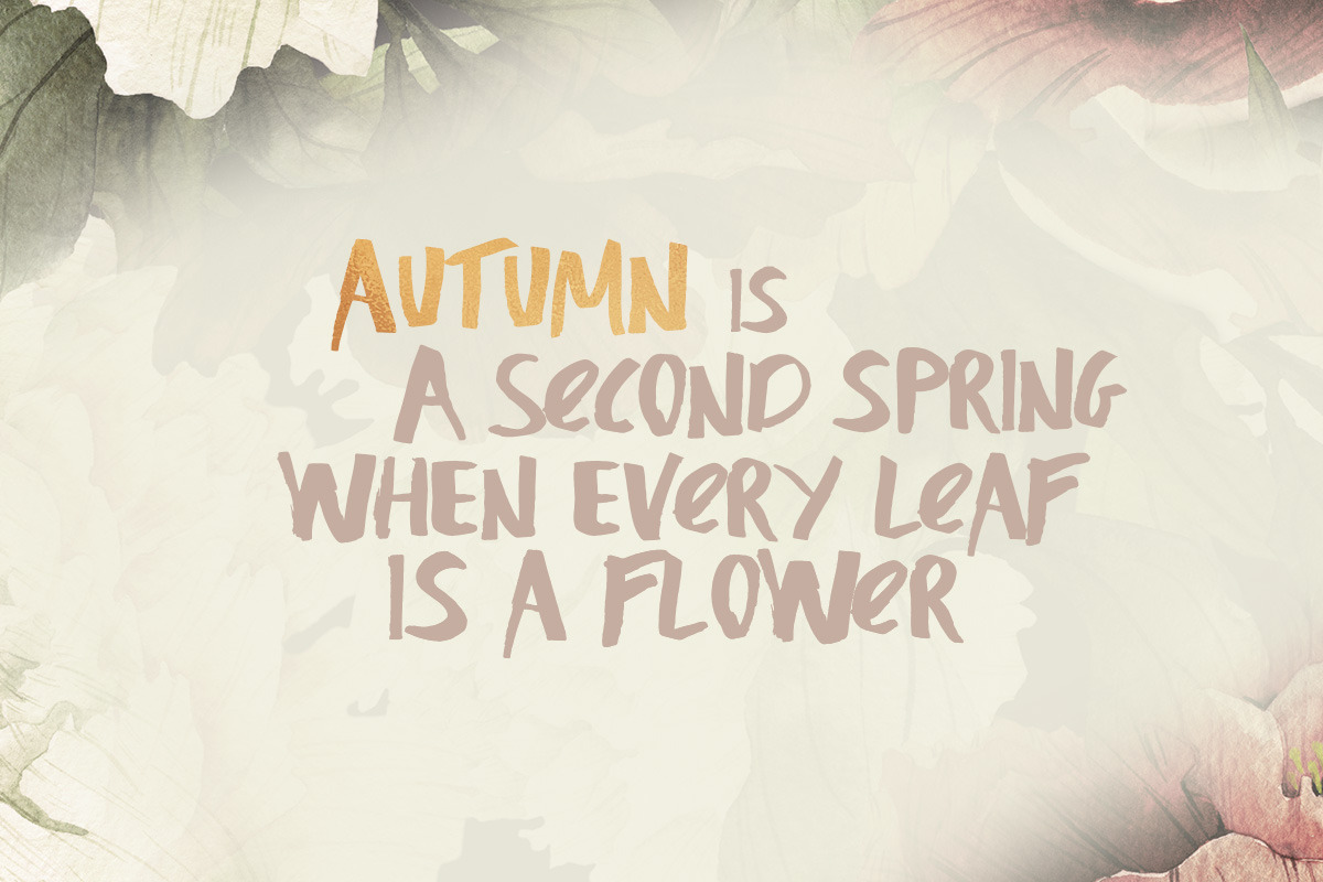 Honeysuckle Typeface preview 3