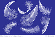 White feathers, vector set, an Animal Illustration by Illustree (Thumbnail 2 of 2)