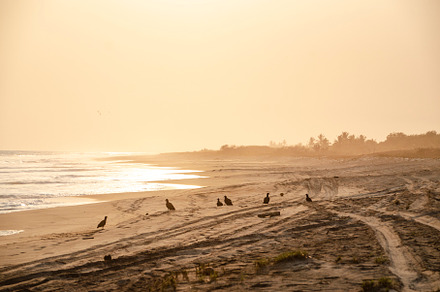 Golden hour at the beach
