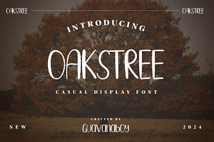 OAKSTREE - Casual Brush Display Font, a Script Font by Guavanaboy