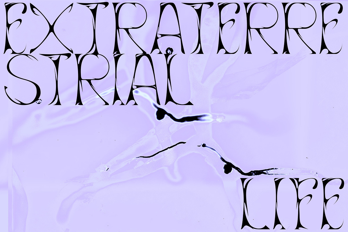 Lifeform Typeface, a Font by Supremat (Photo 5 of 7)