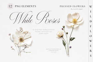 Pressed Flowers (Png) Elements