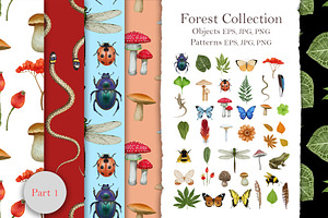 Forest Collection / Pattern Design