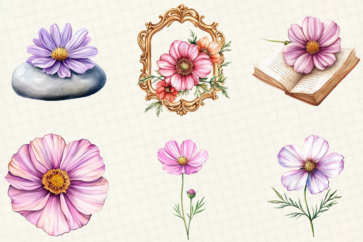 Watercolor Cosmos Flower Clipart, an Illustration by OK Design (Photo 2 of 5)