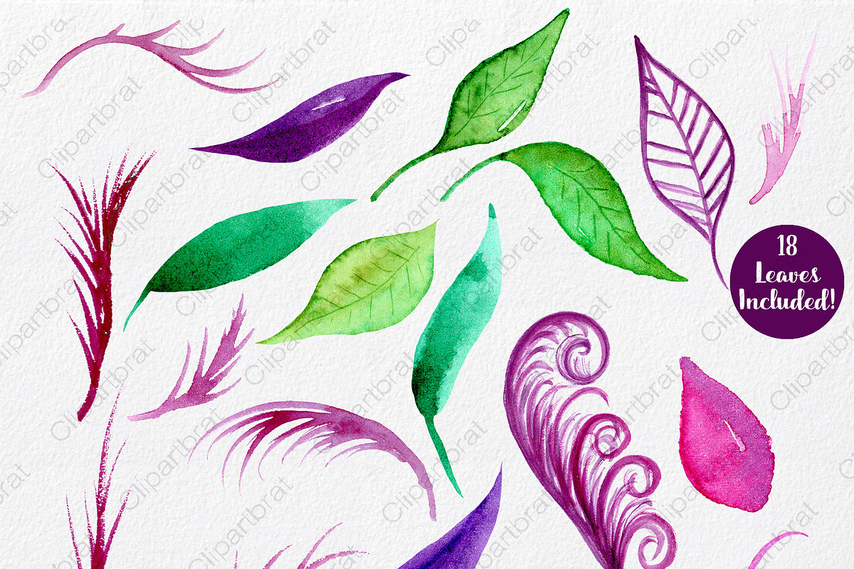 Exotic Florals & Feathers, an Illustration by ClipartBrat Graphics (Photo 3 of 6)