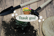 Spring bulbous flowers watercolor, an Object Illustration by DemiLena (Thumbnail 12 of 12)