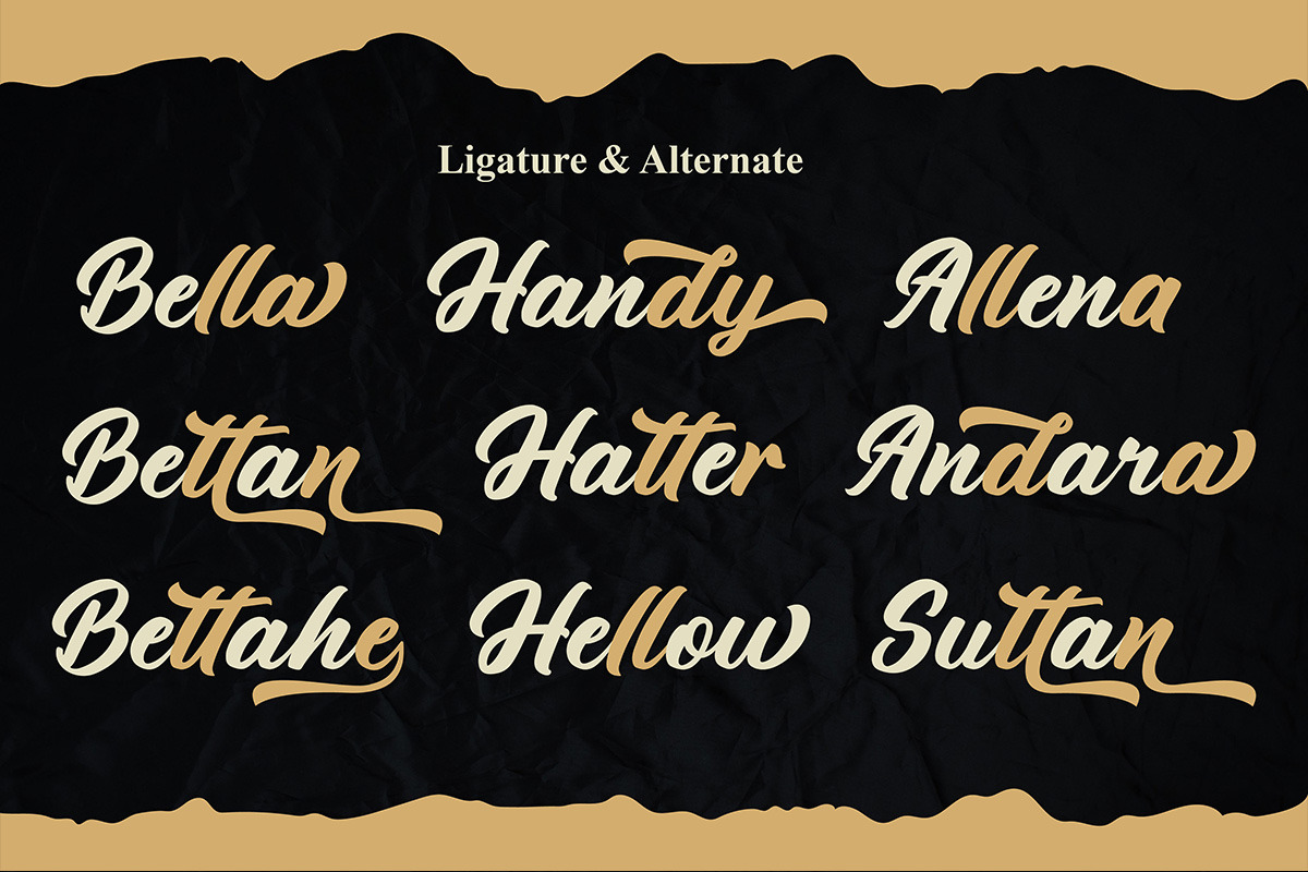 Anthem Pride Modern Script Font, a Script Font by Ronny Studio (Photo 12 of 15)