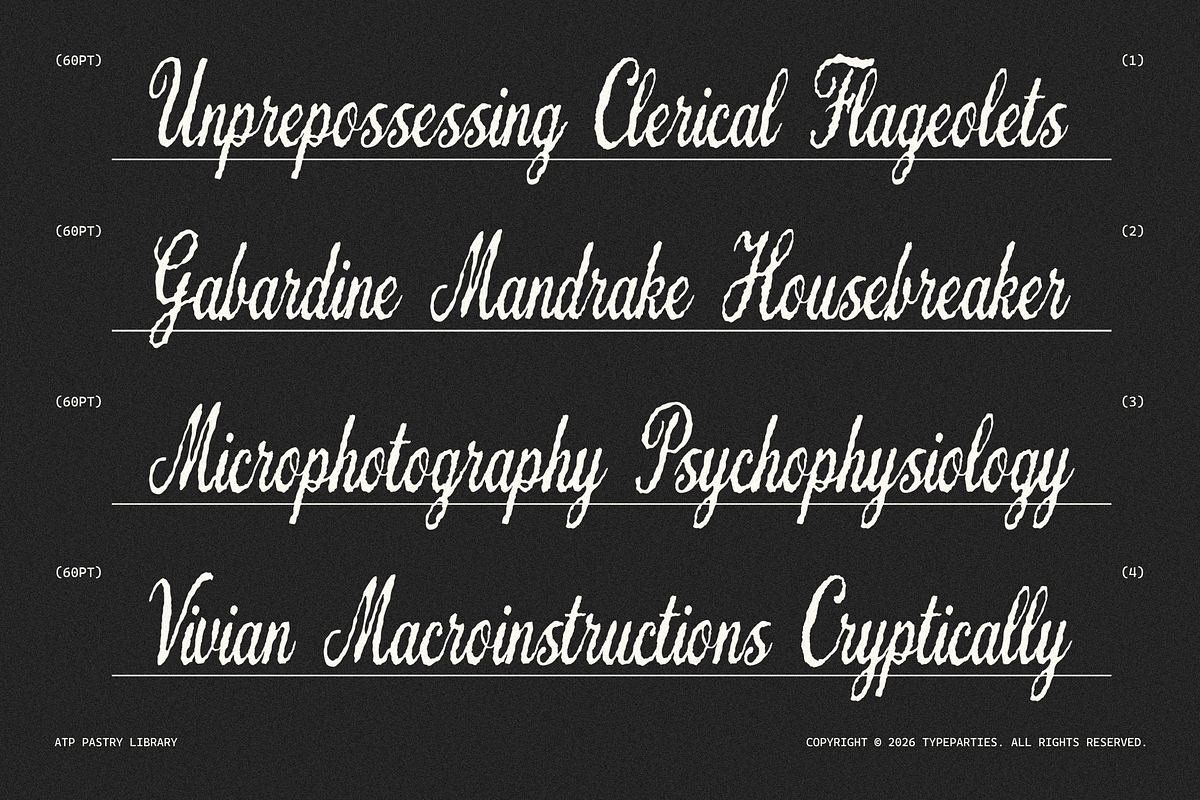 Pastry Library - Vintage Script Font, a Script Font by Typeparties (Photo 5 of 9)