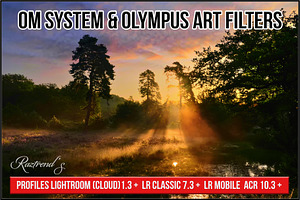 OM System & Olympus Art Filters, a Plug-in Add-On by Raztrend
