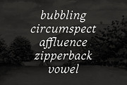 Sandleford Italic, a Serif Font by Simon Walker (Thumbnail 2 of 9)