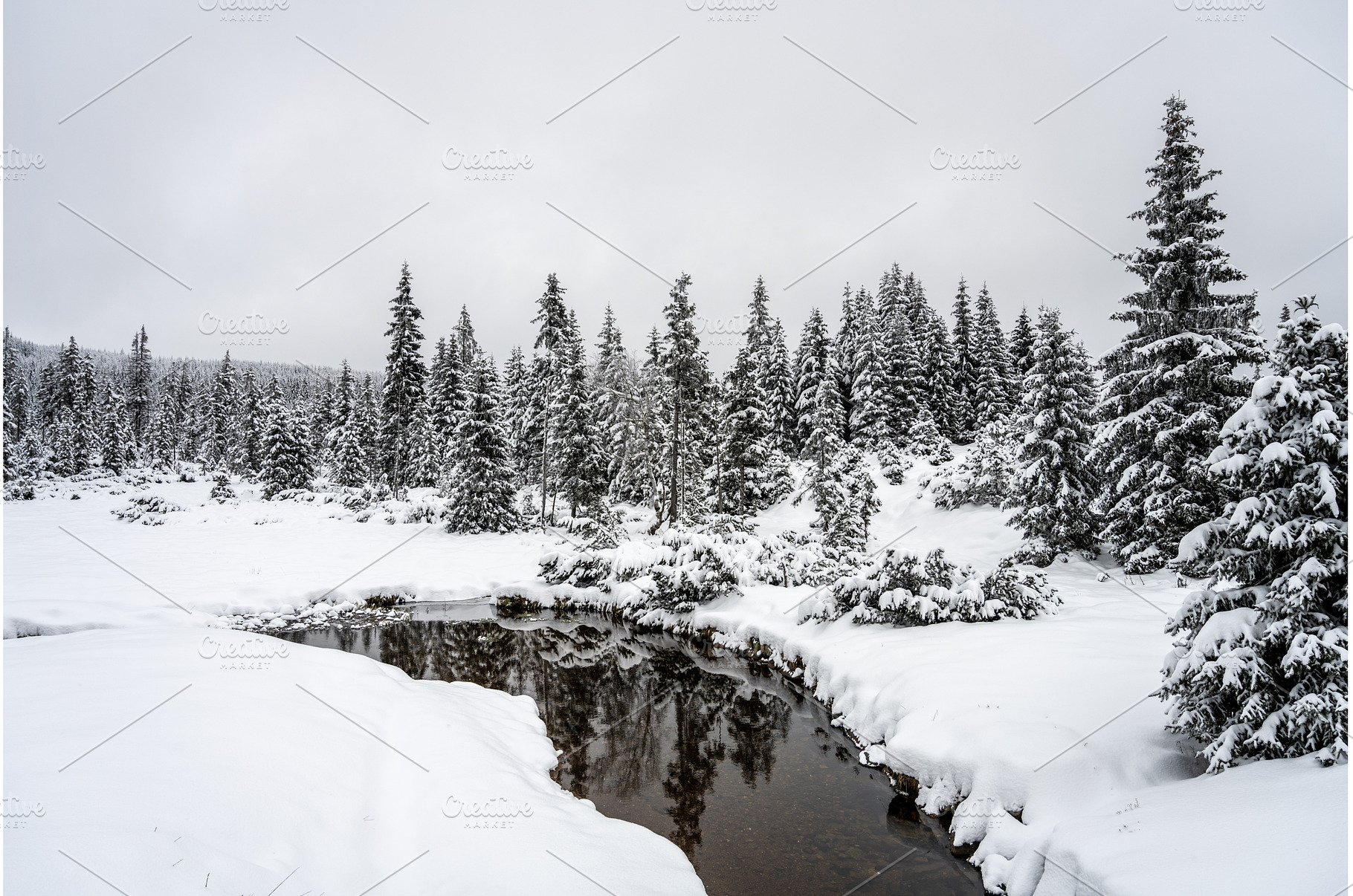 Snowy landscape with trees and small, a Nature Photo by pytyczech