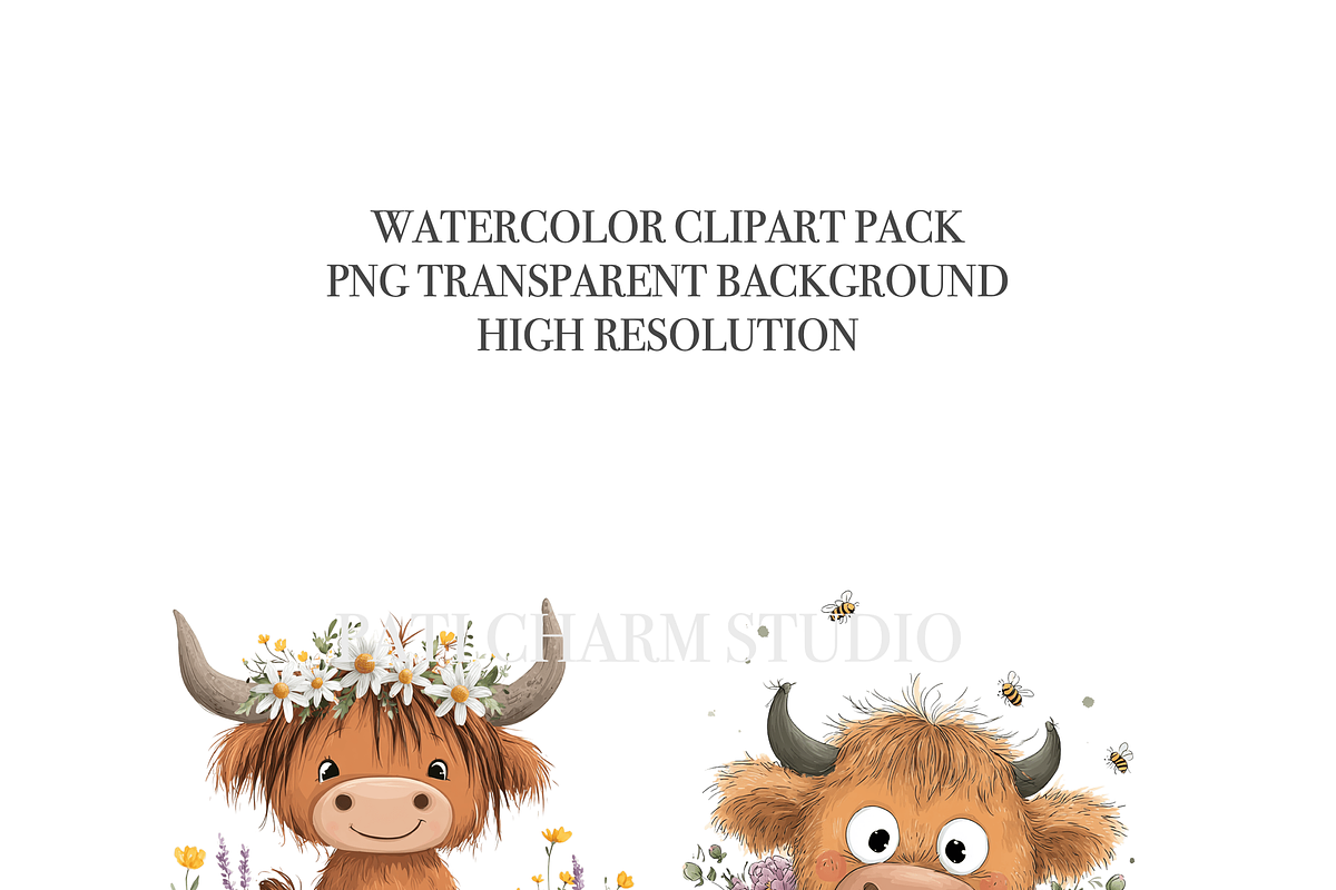 30 Floral Highland Cow Clipart, an Animal Illustration by Pati Charm Studio (Photo 4 of 8)