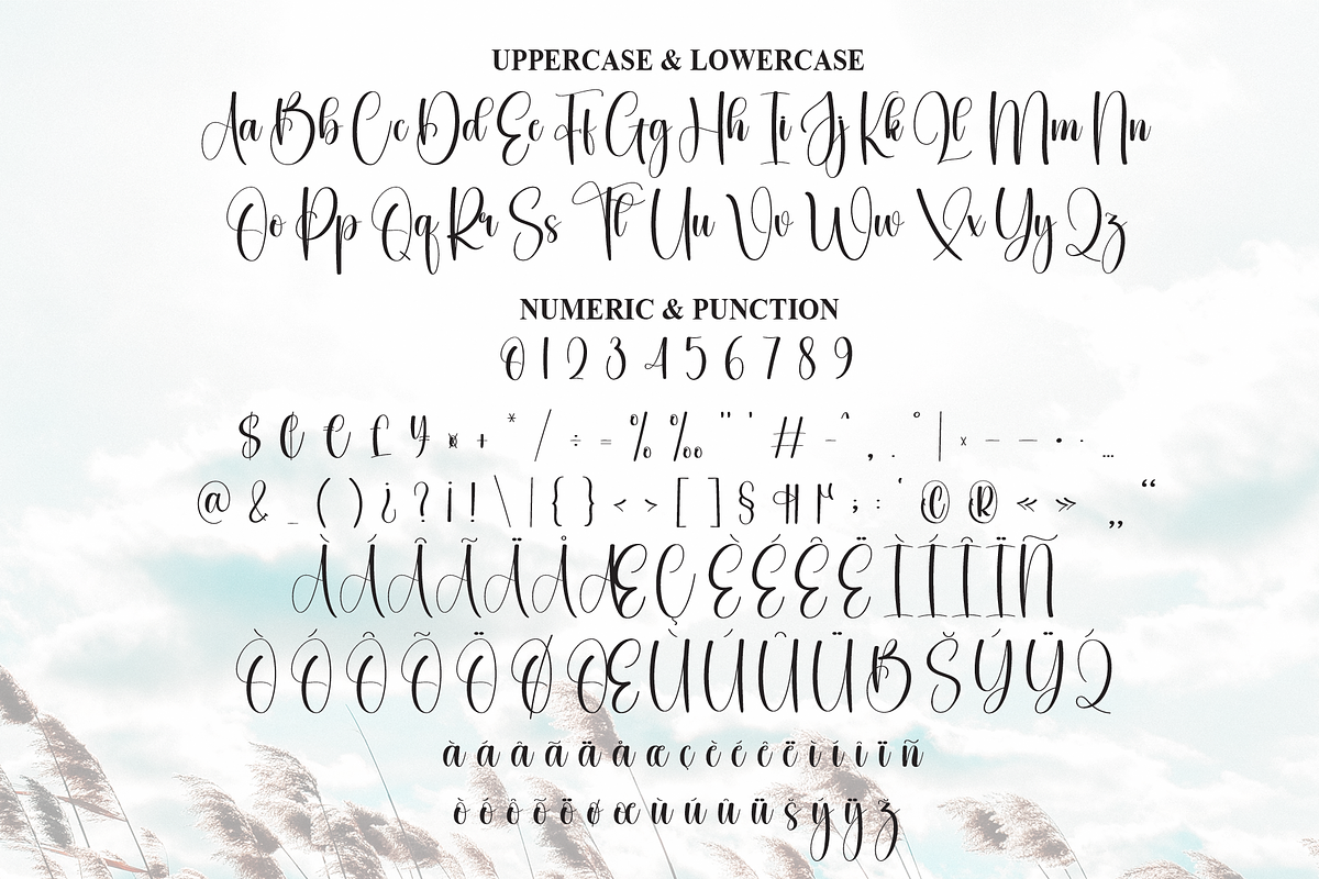 Sunny | Script Font, a Handwritten Font by Scratchones