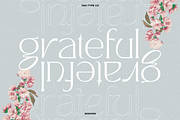 TAN - MIGNON, a Font by TanType (Thumbnail 3 of 17)
