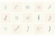 Hand Drawn Floral Elements. Frames, a Seasonal Illustration by Designwork (Thumbnail 9 of 22)