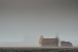 Foggy field containing farm, field, and fog