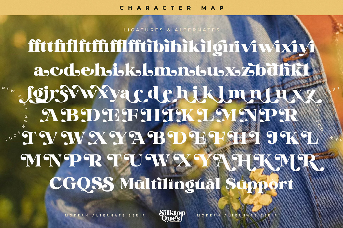 Silktop Quest Modern Serif Font, a Serif Font by timelesstype.co (Photo 19 of 20)
