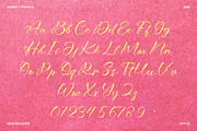 Bitteva Script - Classy Script Font, a Script Font by Dhabee (Thumbnail 3 of 16)