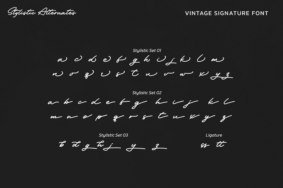 Vintage Signature, a Script Font by Vintage Division (Photo 10 of 10)