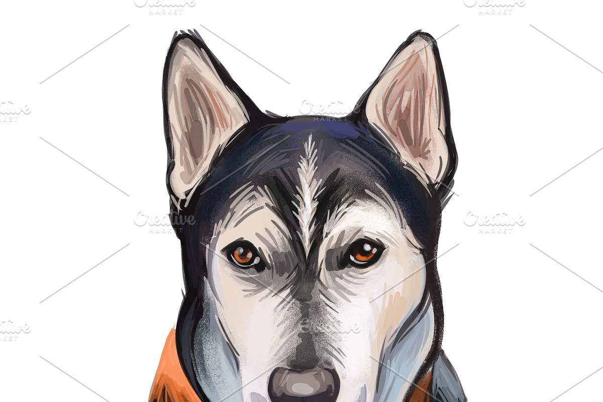 Dogs Cross Breeds 56 Animals Bundle, an Animal Illustration by Dneprstock (Photo 15 of 55)