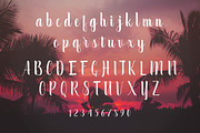 September Script, a Font by Font Bundles (Thumbnail 4 of 7)