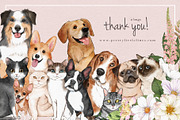 Pet Illustrations Patterns & Borders, a Graphic by Pretty Little Lines (Thumbnail 29 of 29)