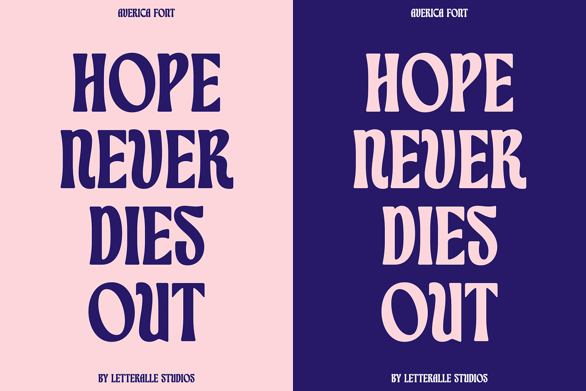 Averica Display Font, a Serif Font by Letteralle Studios (Photo 9 of 12)