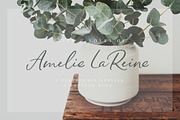 Pringle & Tweed Script, a Script Font by Nicky Laatz (Thumbnail 5 of 13)