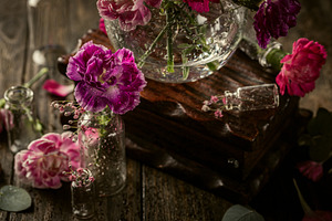 Beautiful purple carnation in glass featuring carnation, flower, and purple
