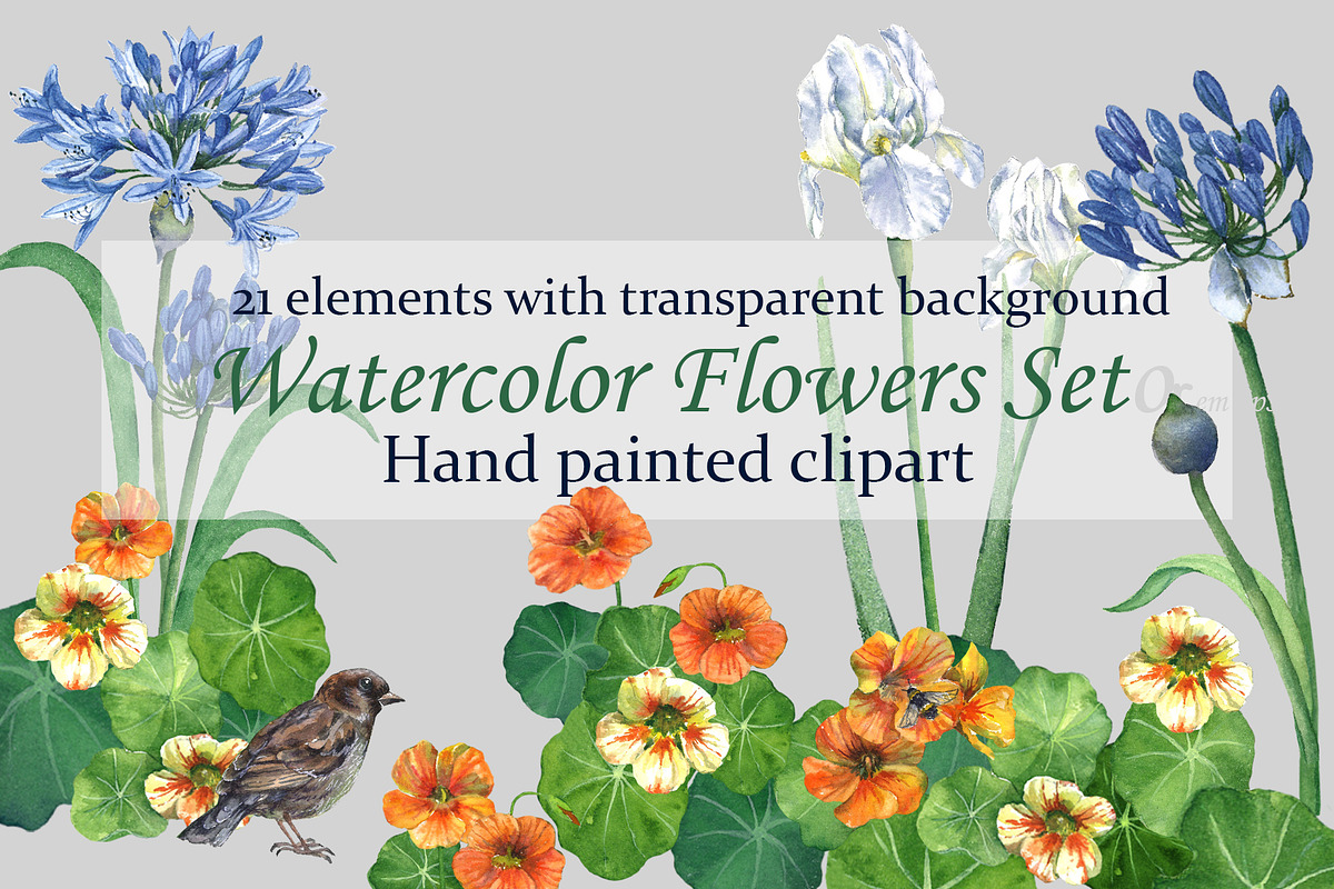Watercolor Flowers Set, an Illustration by IrStepShop (Photo 1 of 3)