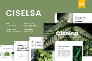 CISELSA - Google Slide Presentation