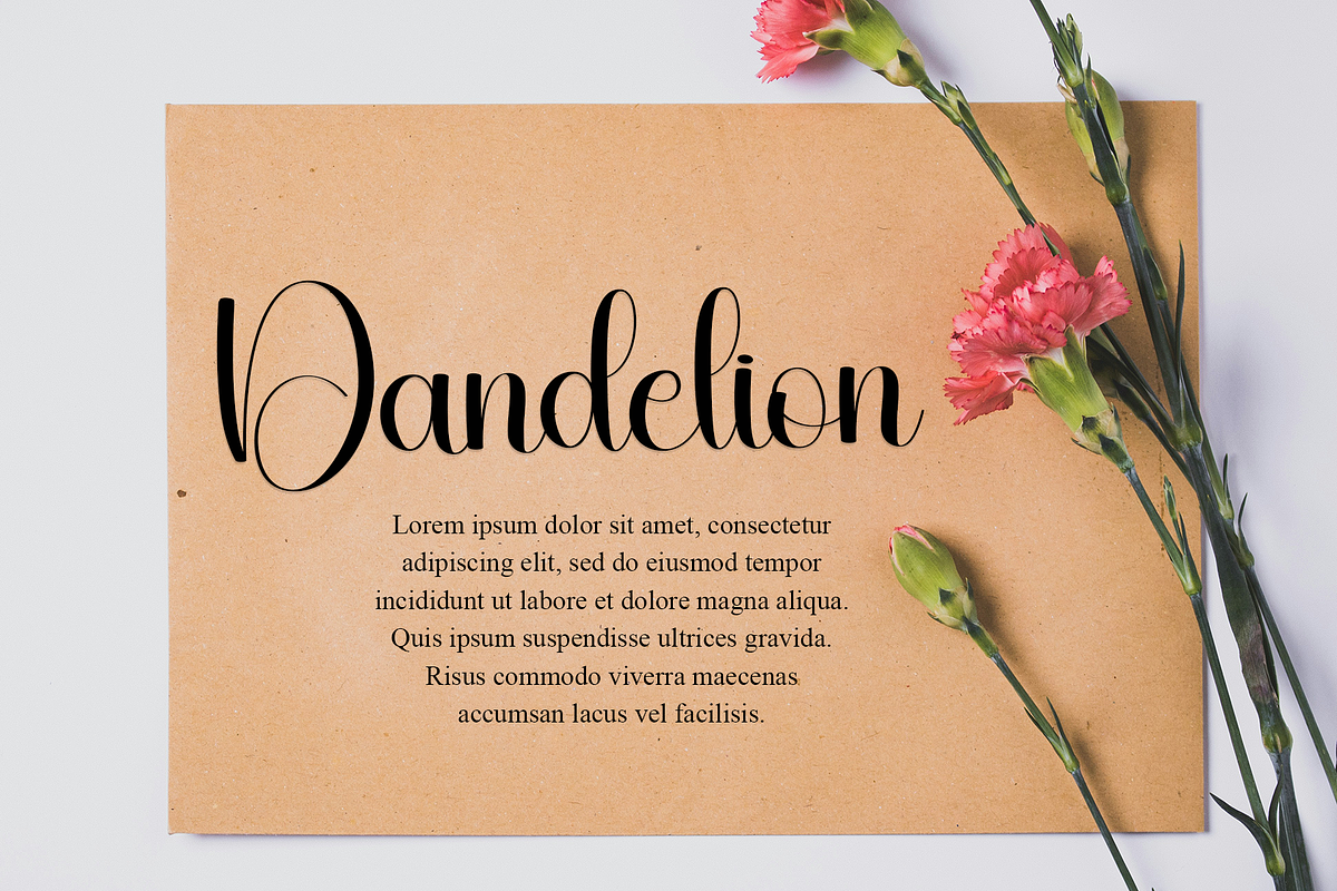 Autumn, a Handwritten Font by InermediaSTUDIO (Photo 8 of 8)
