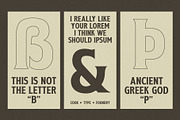 Virevont, a Serif Font by graphicook (Thumbnail 7 of 10)