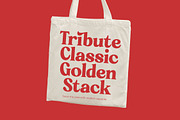Rakuy Magist Modern Retro Serif, a Serif Font by timelesstype.co (Thumbnail 6 of 20)