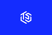 Modern TS Monogram Logo, a Branding & Logo Template by arhabib (Thumbnail 5 of 11)