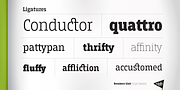 Breakers Slab, a Slab Serif Font by Kostic Type Foundry (Thumbnail 3 of 10)