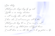 Raja Ampat – Modern Wedding Fonts, a Script Font by RedyStudio (Thumbnail 2 of 11)