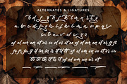 Blastegon - Modern Script, a Script Font by Graha Type (Thumbnail 11 of 12)