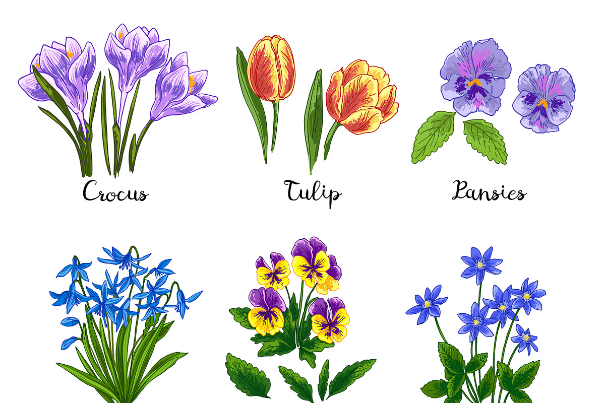 Spring flowers Color vector, a Decorative Illustration by irina.vaneeva (Photo 2 of 4)