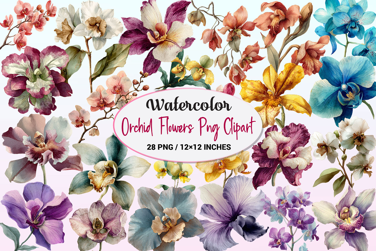 Watercolor Orchid Flowers Clipart, a Graphic by CitraGraphics (Photo 1 of 4)