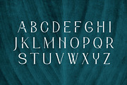 Kittova | An Elegant Serif Font, a Serif Font by Andrimada Creative (Thumbnail 10 of 12)