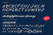 Kinetic Motion Modern Brush Font, a Script Font by Letterena Studios Script (Thumbnail 15 of 20)
