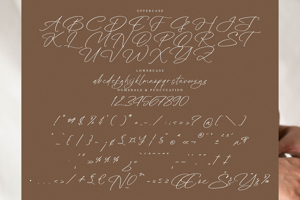 Radiance Berlines, a Script Font by operatype.co (Photo 14 of 15)