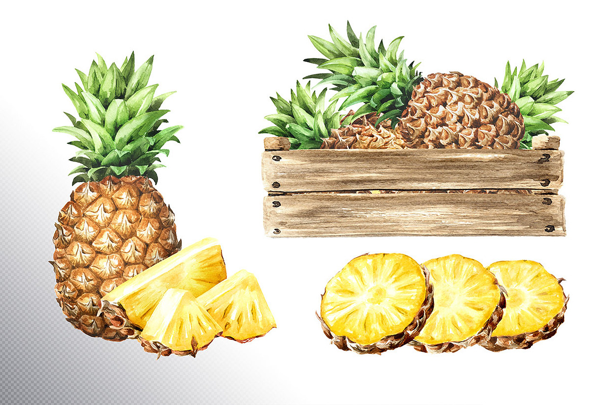 Tropical Pineapple. Hand painted, a Food Illustration by Daria Ustiugova (Photo 24 of 28)