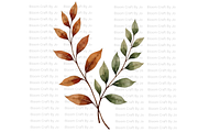Dried Eucalyptus Branches, a Decorative Illustration by Bloom Craft Creations (Thumbnail 6 of 10)