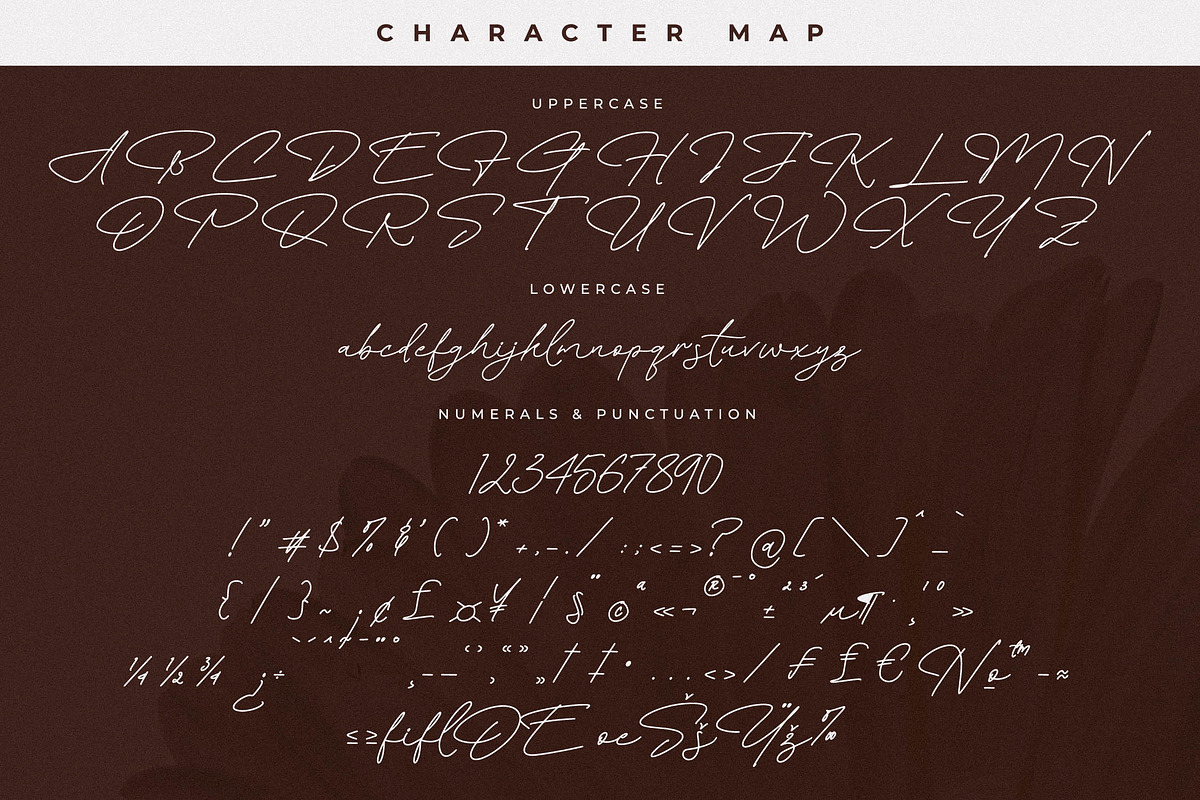 Floral Paradise Font Duo, a Serif Font by Storytype Studio (Photo 13 of 15)
