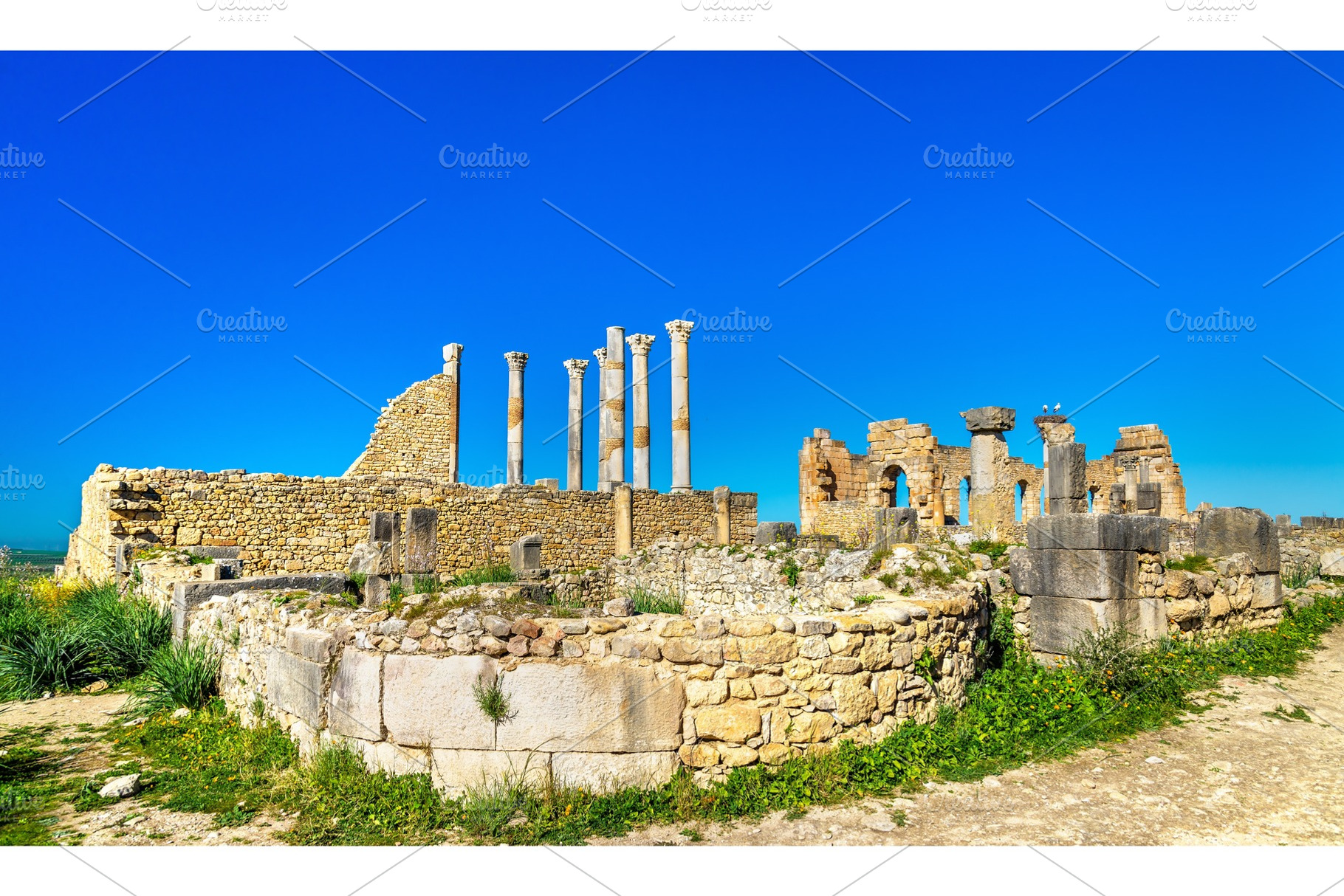 The capitoline temple and the roman basilica in volubilis morocco featuring, an Architecture Photo by Leonid Andronov
