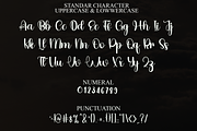 Hansome, a Handwritten Font by FreshTypeINK (Thumbnail 6 of 8)