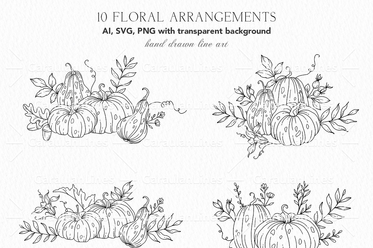 Hand Drawn Pumpkin SVG arrangements, an Object Graphic by CaraulanStore (Photo 2 of 8)